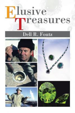 Buch Elusive Treasures Dell R Foutz