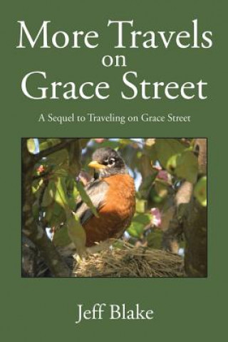 Kniha More Travels on Grace Street Jeff Blake