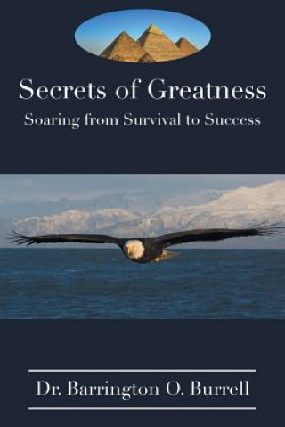 Книга Secrets of Greatness Dr Barrington O Burrell