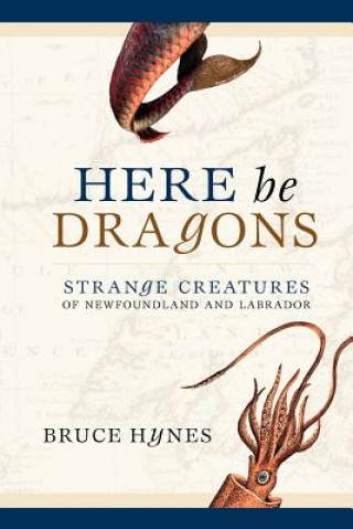 Kniha Here Be Dragons Bruce Hynes