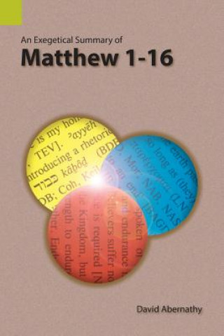 Kniha Exegetical Summary of Matthew 1-16 David Abernathy