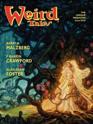 Book Weird Tales 336 Darrell Schweitzer