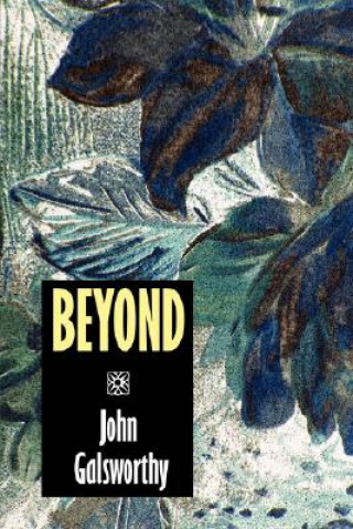 Book Beyond Galsworthy