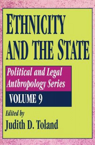 Book Ethnicity and the State 