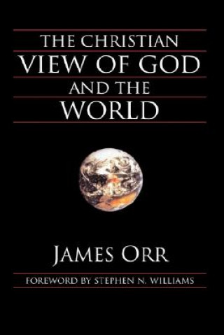 Könyv Christian View of God and the World Stephen N. Williams