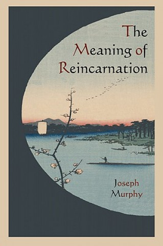 Kniha Meaning of Reincarnation Joseph Murphy