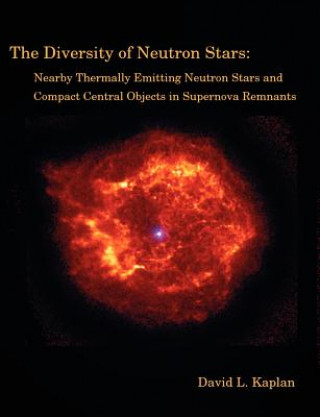 Книга Diversity of Neutron Stars David L Kaplan