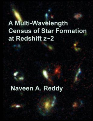 Könyv Multi-Wavelength Census of Star Formation at Redshift z 2 Naveen A Reddy