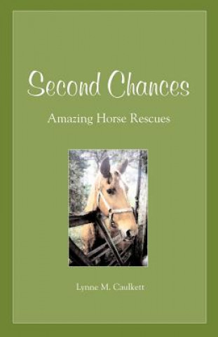 Buch Second Chances Lynne M Caulkett