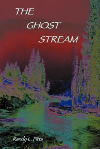 Livro Ghost Stream Randy L Pitts