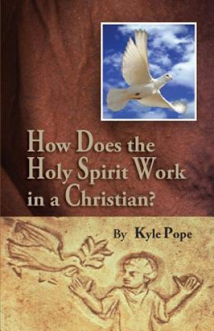 Kniha How Does the Holy Spirit Work in a Christian? Kyle Pope