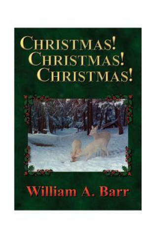 Knjiga Christmas, Christmas, Christmas William A Barr