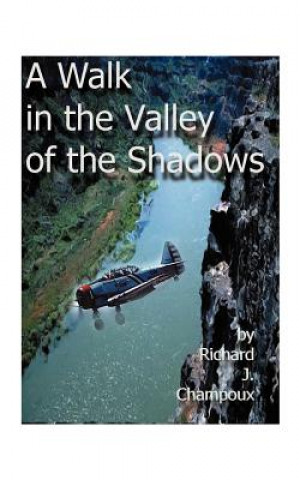 Könyv Walk in the Valley of the Shadows Richard J. Champox