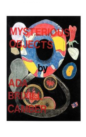 Buch Mysterious Objects Ada Brixill Camber