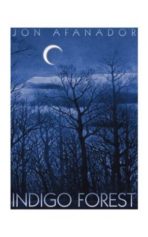 Buch Indigo Forest Jon Afanador