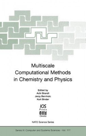 Könyv Multiscale Computational Methods in Chemistry and Physics Jerzy Bernholc