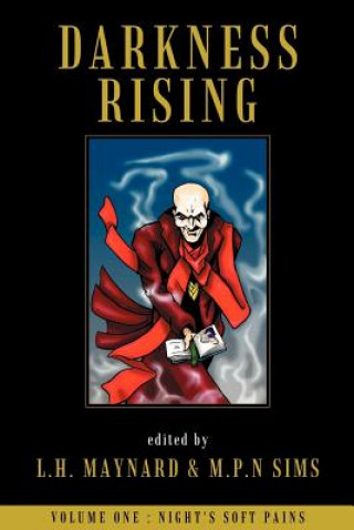 Kniha Darkness Rising L. H. Maynard
