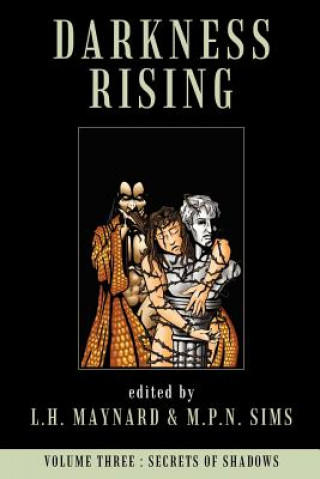 Könyv Darkness Rising, Vol. 3 L. H. Maynard