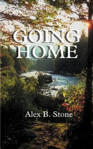 Buch Going Home Alex B Stone