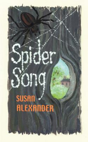 Kniha Spider Song Susan Alexander