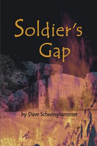 Kniha Soldier's Gap David Schwinghammer