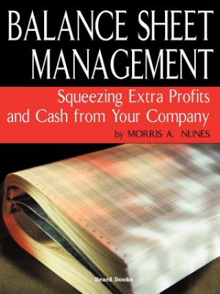 Kniha Balance Sheet Management Morris A. Nunes