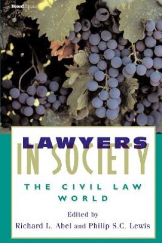 Kniha Lawyers in Society Richard L. Abel