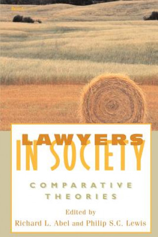 Kniha Lawyers in Society Richard L. Abel