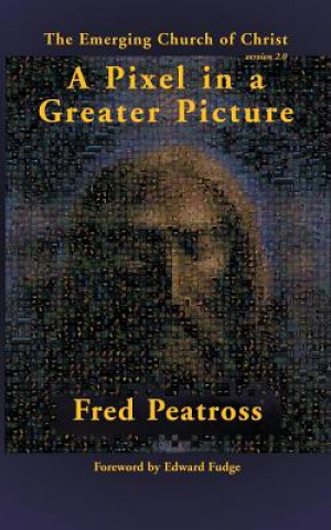 Книга Pixel in a Greater Picture Fred Peatross