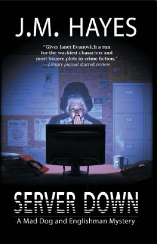 Boek Server Down J. M. Hayes
