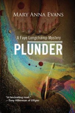Книга Plunder Mary Anna Evans