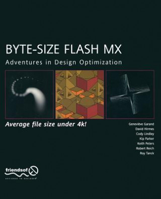 Книга Byte-Size Flash Mx Etc