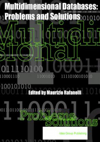Kniha Multidimensional Databases Maurizio Rafanelli