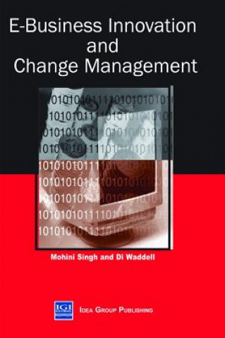 Könyv e-Business Innovation and Change Management Mohini Singh
