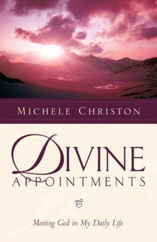 Kniha Divine Appointment Michele Christon