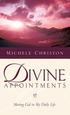 Kniha Divine Appointment Michele Christon