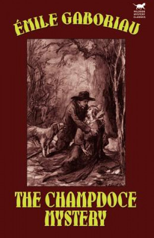 Buch Champdoce Mystery Emile Gaboriau