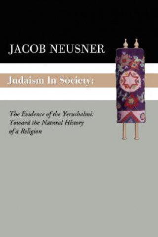 Kniha Judaism in Society Neusner