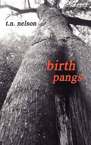 Libro Birth Pangs Tim Nelson