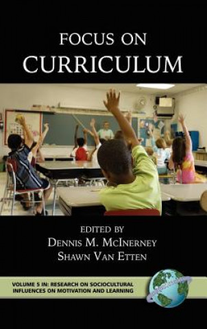 Kniha Focus on Curriculum Dennis M. McInerney