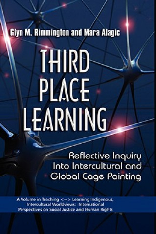 Knjiga Third Place Learning Mara Alagic