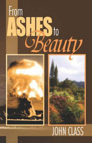 Book From Ashes to Beauty John Class