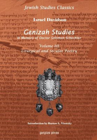 Könyv Genizah Studies in Memory of Doctor Solomon Schechter (Vol 3) Israel Davidson