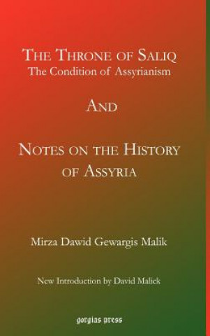 Könyv Throne of Saliq: The Condition of Assyrianism in the Era of the Incarnation of Our Lord Mirza Dawid Gewargis Malik