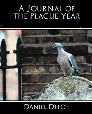 Książka Journal of the Plague Year Daniel Defoe