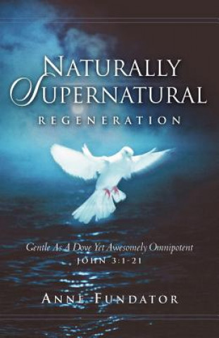 Книга Naturally Supernatural Anne Fundator