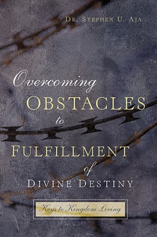 Kniha Overcoming Obstacles to Fulfillment of Divine Destiny Dr Stephen U Aja