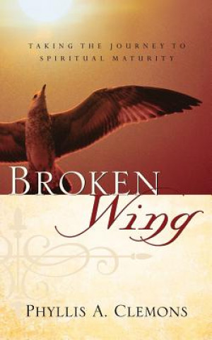 Book Broken-Wing Phyllis A Clemons