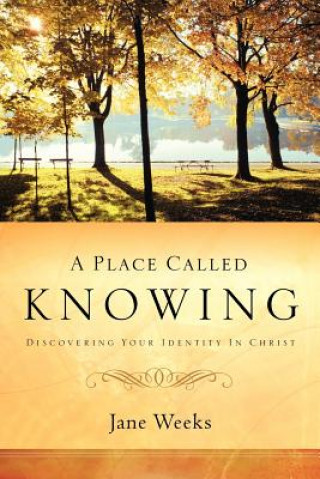 Knjiga Place Called Knowing Jane Weeks