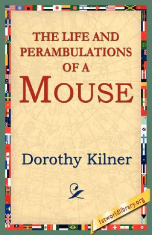 Livre Life and Perambulations of a Mouse Dorothy Kilner